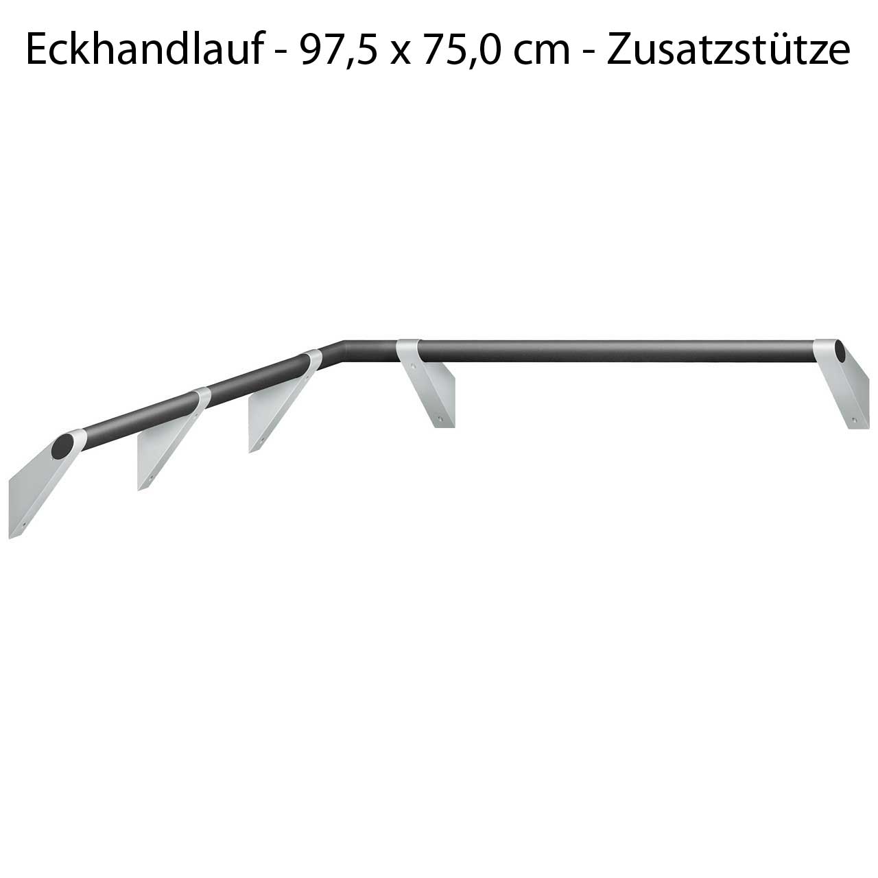 Haltegriff Eckdusche - verstärkt für Duschklappsitz - ErgoSystem A100 Haltegriff Eckdusche - verstärkt für Duschklappsitz - ErgoSystem A100