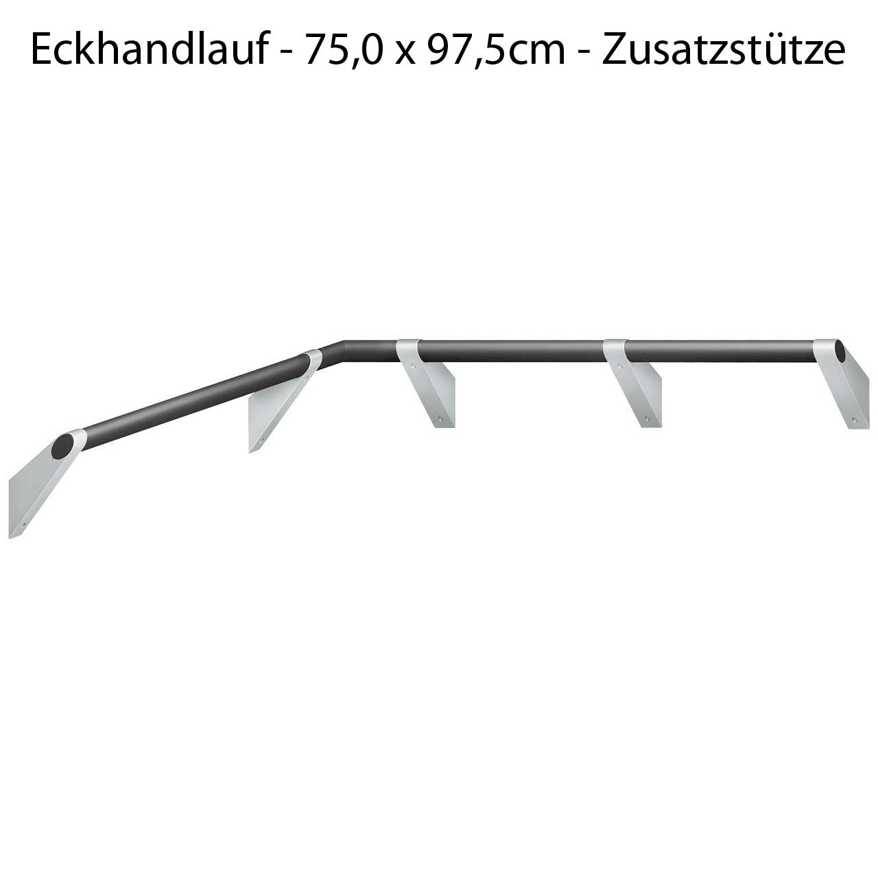 Haltegriff Eckdusche - verstärkt für Duschklappsitz - ErgoSystem A100 Haltegriff Eckdusche - verstärkt für Duschklappsitz - ErgoSystem A100