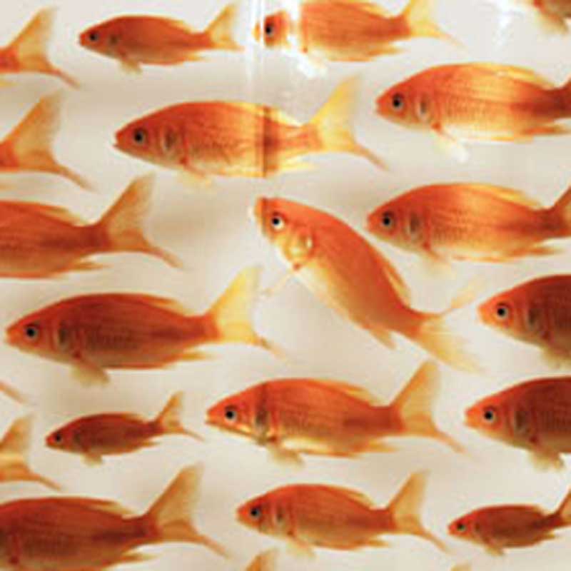 Duschvorhang 180x200 Goldfisch