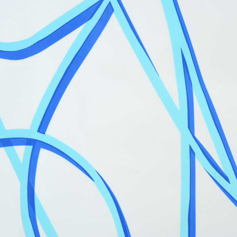 Duschvorhang 180x200 SPAGHETTI Blau Duschvorhang 180x200 SPAGHETTI Blau